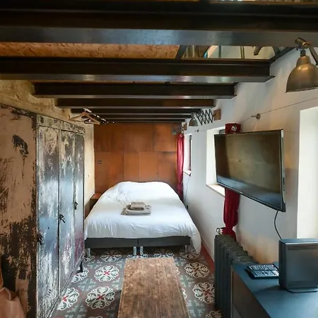 Beau Loft Atypique Hyper Centre Nancy